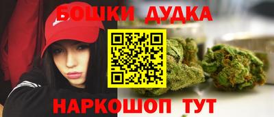 прущие грибы Краснокаменск