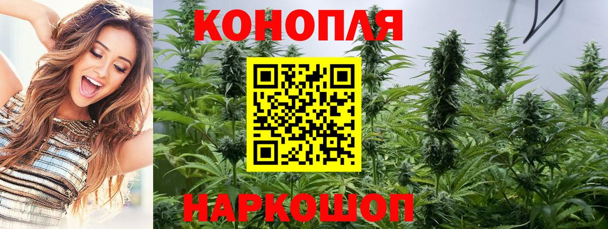 Каннабис Bruce Banner  Марихуана план  Кисловодск  Вход с VPN  Конопля индика  Конопля конопля 